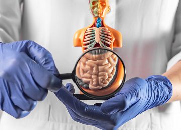 Cirurgia_Aparelho_Digestivo Cirurgia_Aparelho_Digestivo